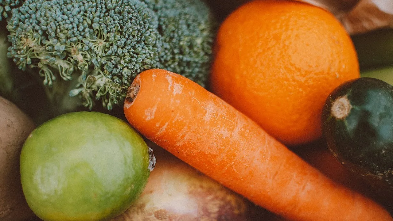 Master-Template-image-12